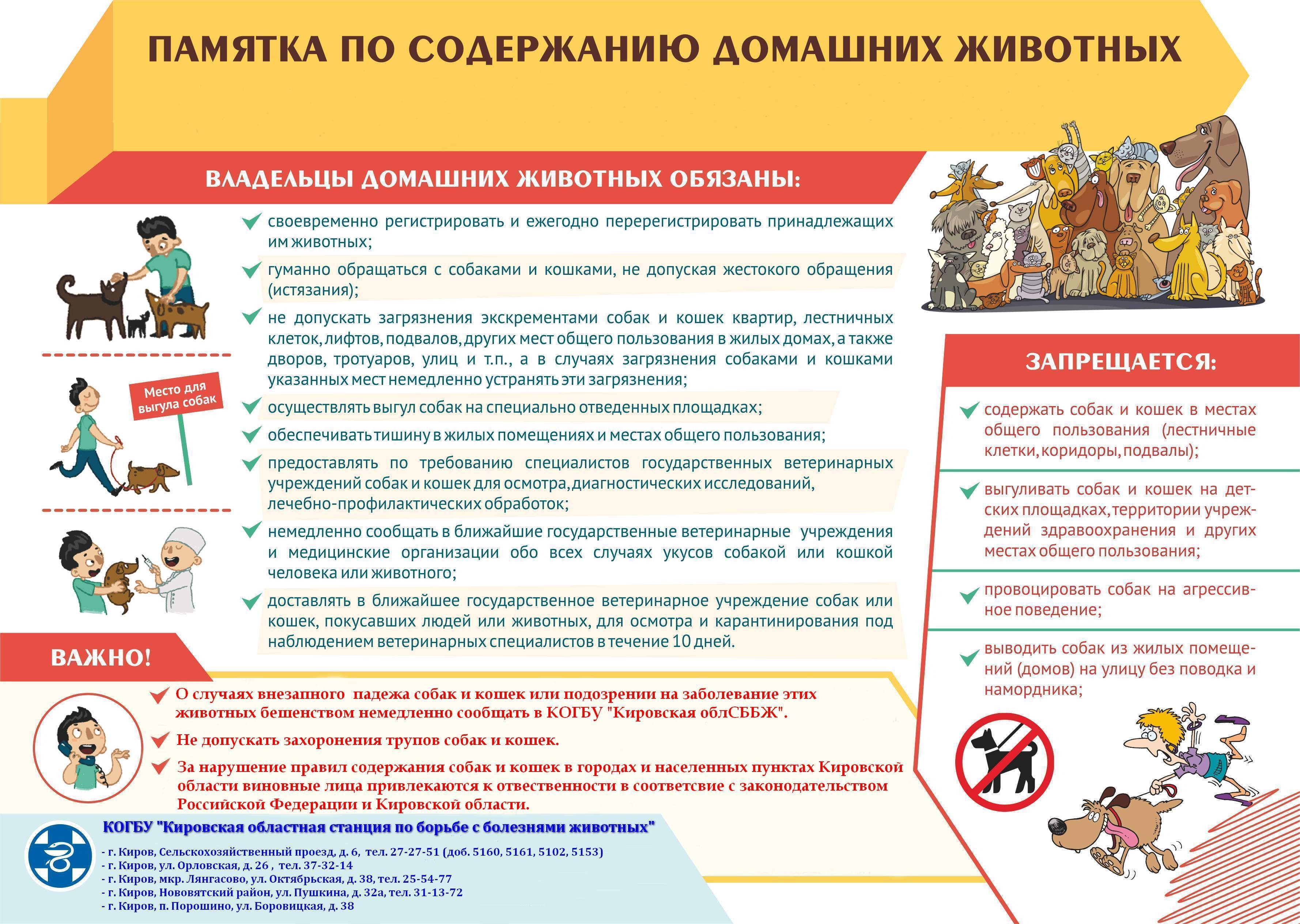 Это нада знать владельцам собак.